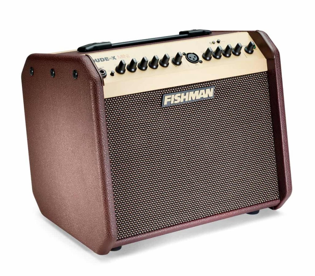 Fishman Loudbox Mini Acoustic Guitar Amplifier