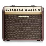 Fishman Loudbox Mini