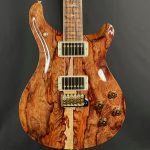 Paul Reed Smith Private Stock #8931 McCarty 594 Tremolo – Hormingo Top