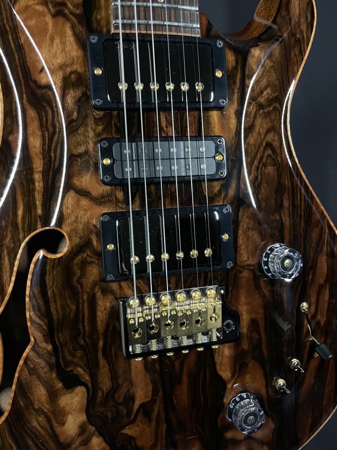 PRS Private Stock #9715 Special Semi-hollow w/ Macassar Ebony Top
