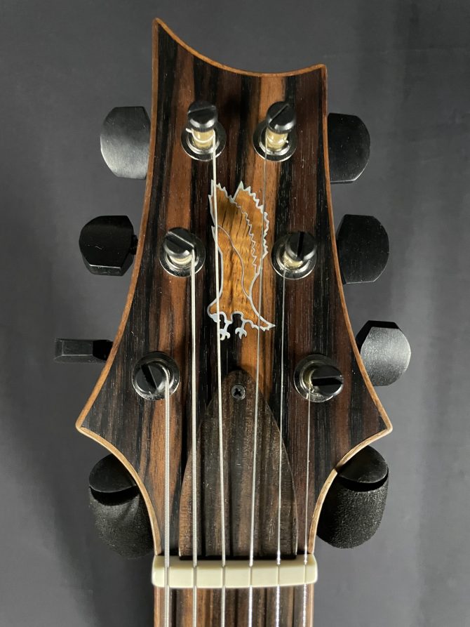 PRS Private Stock #9715 Special Semi-hollow w/ Macassar Ebony Top