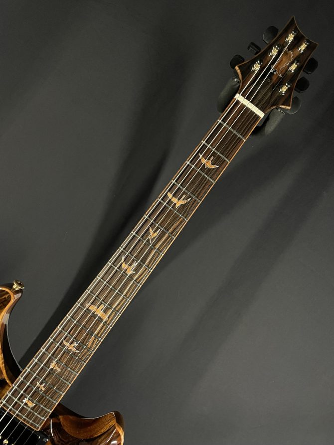 PRS Private Stock #9715 Special Semi-hollow w/ Macassar Ebony Top