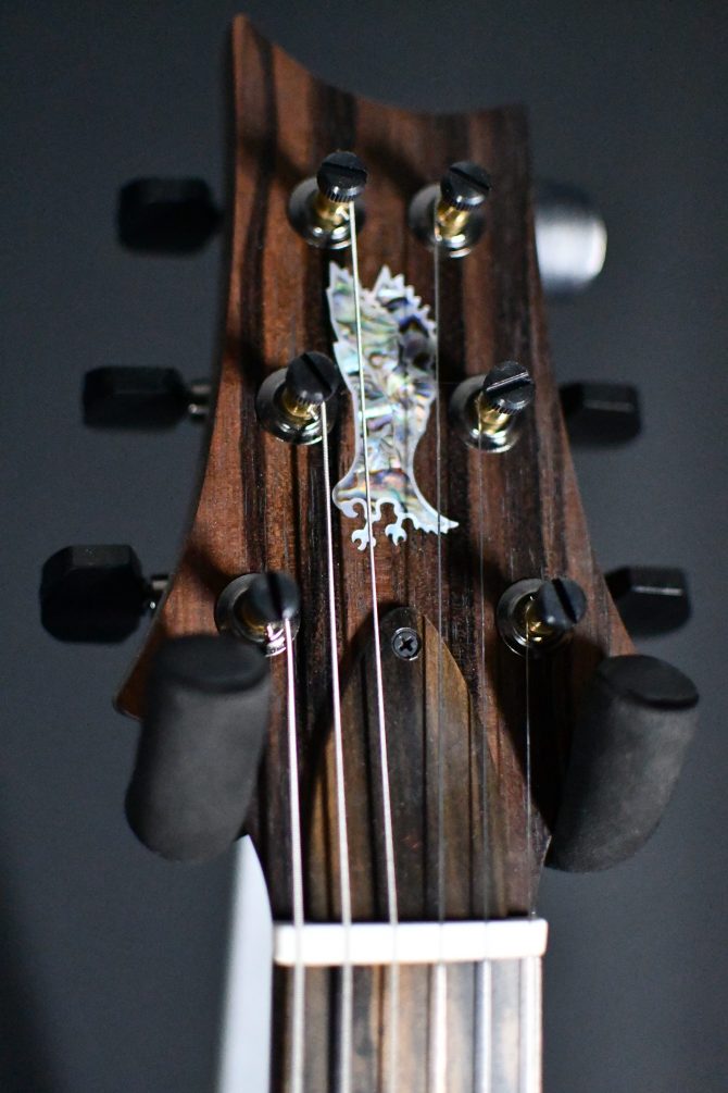 Paul Reed Smith PRS Private Stock #9608 DGT Macassar Ebony Top