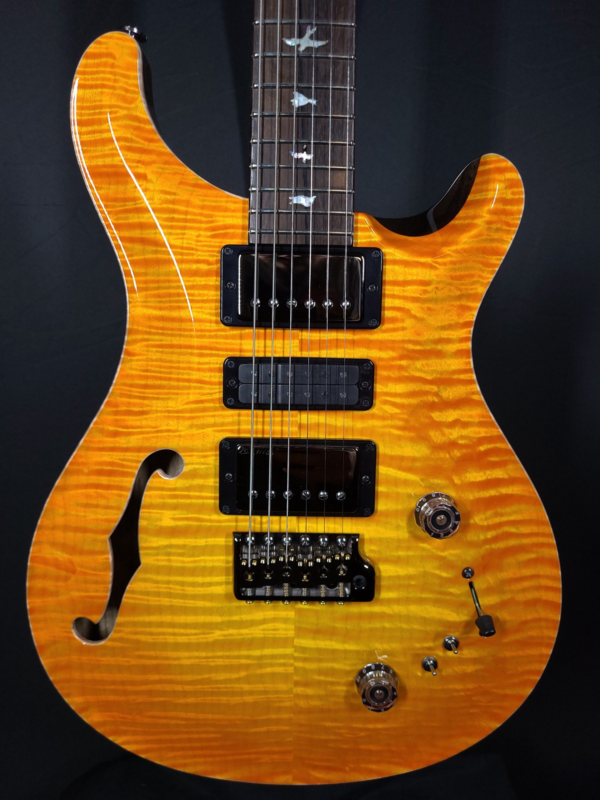Special semi shop hollow prs