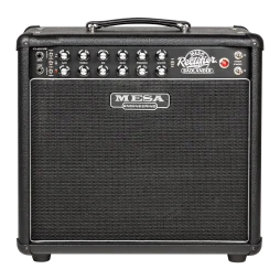 Mesa Boogie Badlander 25 1x12 Combo, Black Bronco