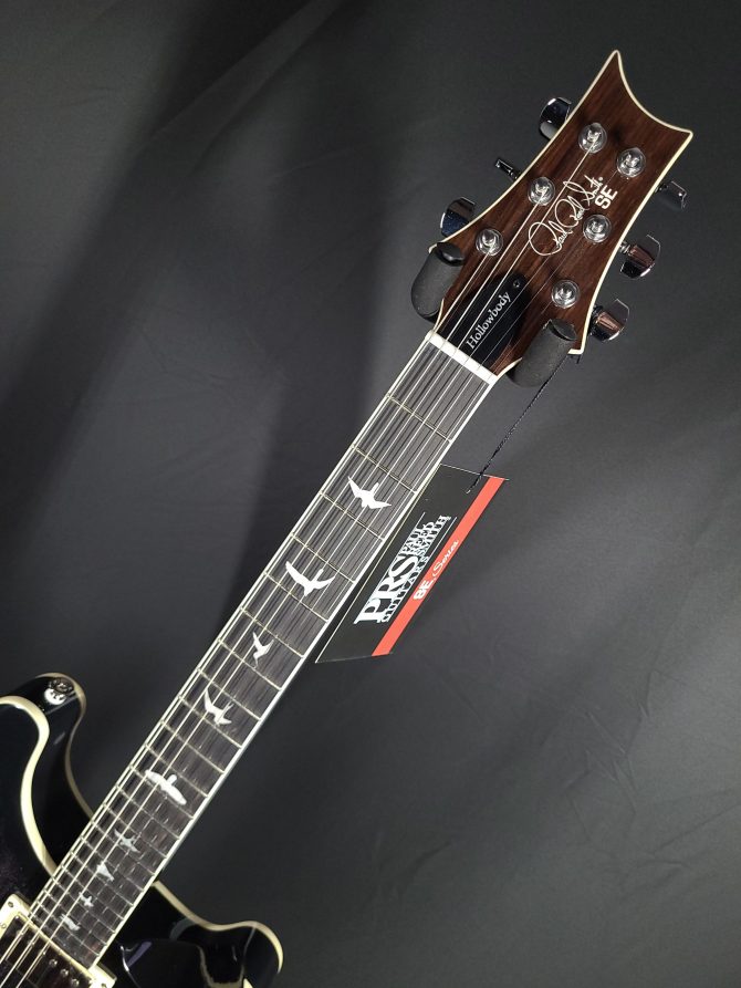 PRS SE Hollowbody Standard Piezo Dog Hair Smokeburst #160