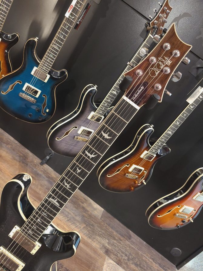 PRS SE Hollowbody Standard Piezo Dog Hair Smokeburst #160