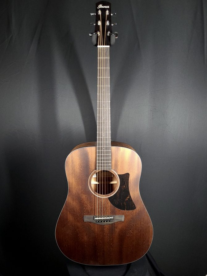 Ibanez AAD140-OPN Open Pore Natural #279