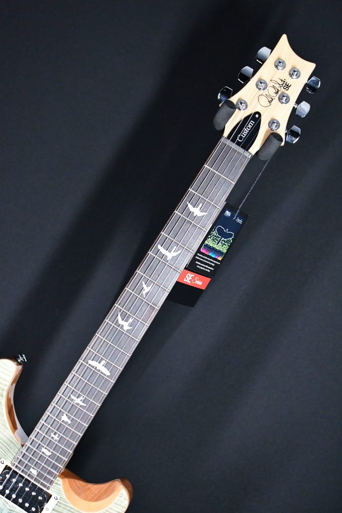 PRS SE Custom 24 Limited Edition Blue Fade #469