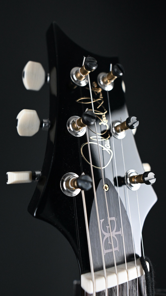 PRS DGT w/ Bird Inlays Purple Mist 10-Top #355 2024
