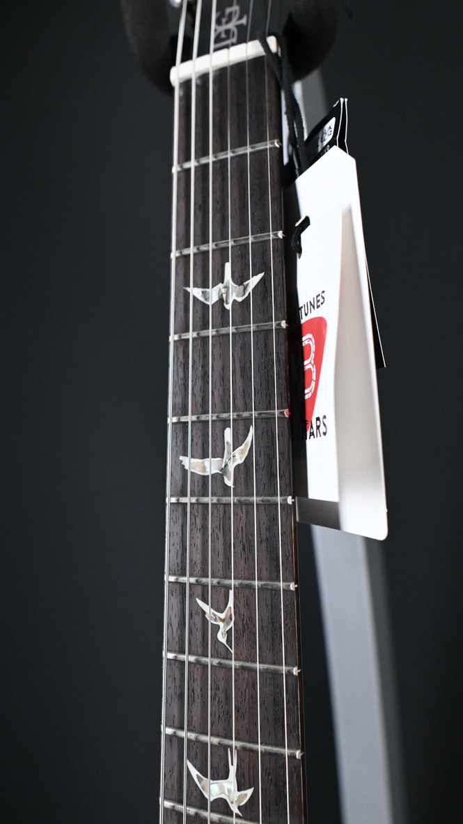 PRS DGT w/ Bird Inlays Purple Mist 10-Top #355 2024