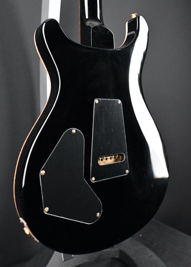 PRS DGT w/ Bird Inlays Purple Mist 10-Top #355 2024