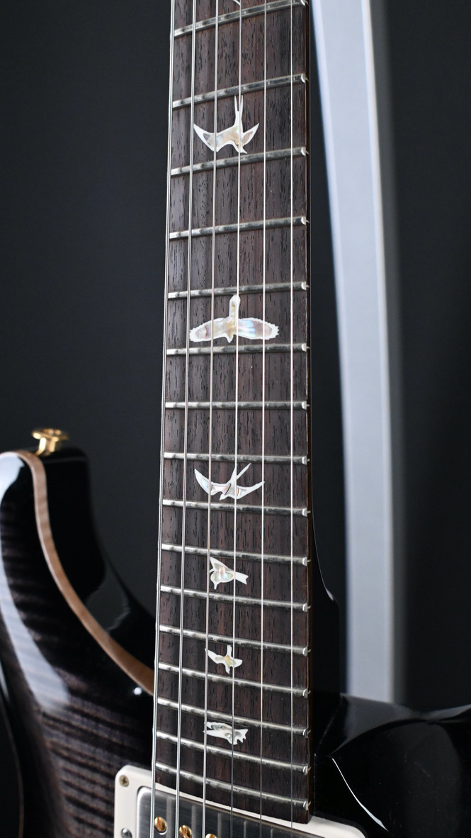 PRS DGT w/ Bird Inlays Purple Mist 10-Top #355 2024