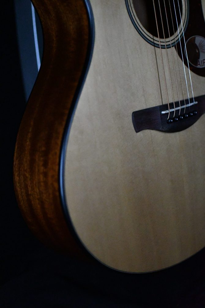 Ibanez Advanced Acoustic AAM50-OPN Open Pore Natural #424
