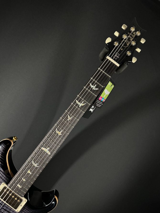 PRS DGT w/ Bird Inlays Purple Mist 10-Top #355