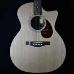 Eastman HE122CE Auditorium Acoustic Guitar 2014