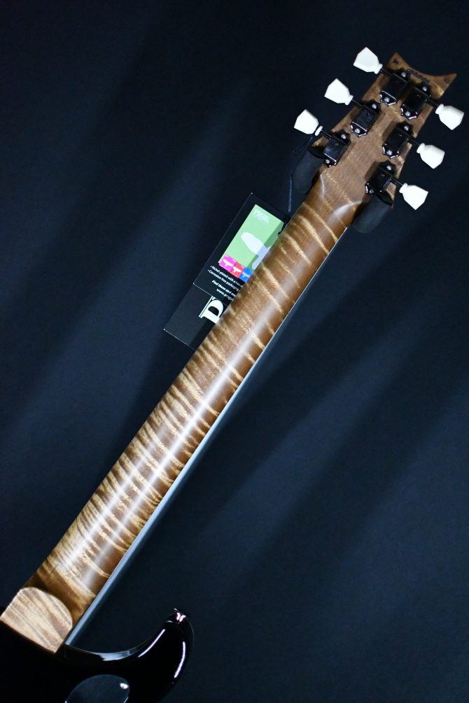 PRS Wood Library McCarty 594 Quilt 10-Top Purple Mist #984