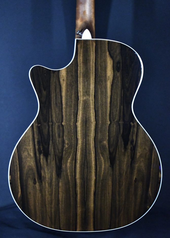 Martin GPC-13E Ziricote Auditorium Guitar #521