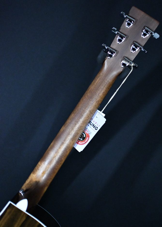 Martin GPC-13E Ziricote Auditorium Guitar #521