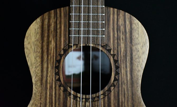 Kala Teak Tenor Ukulele KA-TEAK-T #307