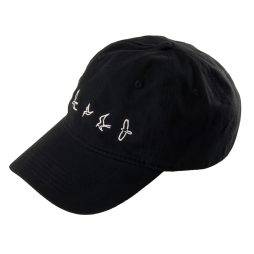 PRS Low-Profile Baseball Hat