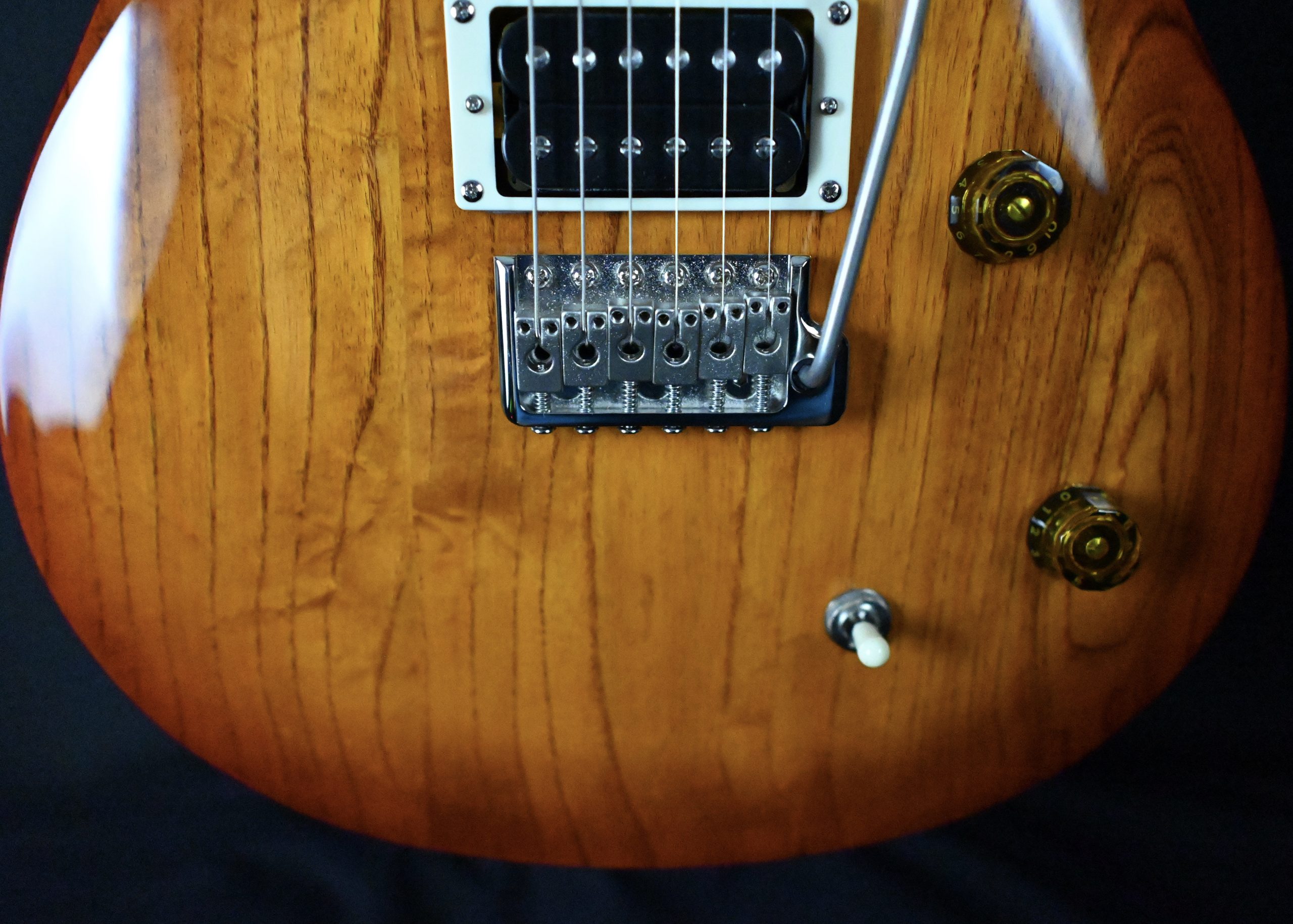 PRS SE Swamp Ash Special Vintage Sunburst 565 Bay Tunes Guitars