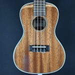 Kala KA-CG Gloss Mahogany Concert Ukulele