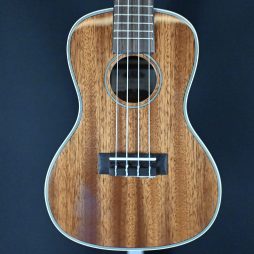 Kala KA-CG Gloss Mahogany Concert Ukulele