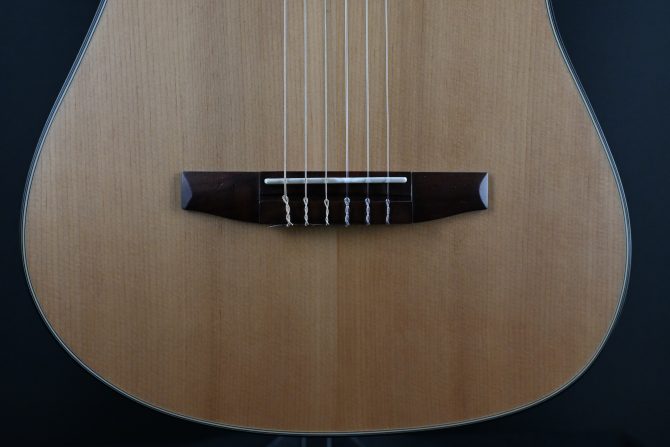 Ibanez FRH10N-NTF Natural Flat 2024