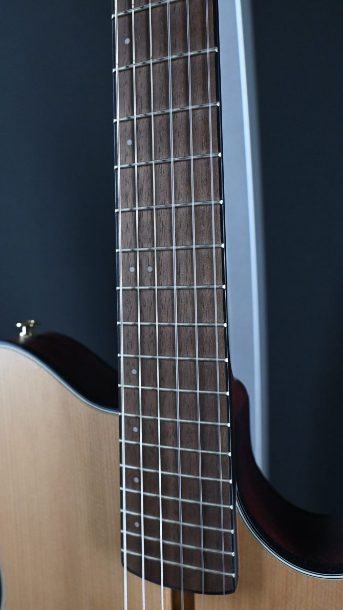 Ibanez FRH10N-NTF Natural Flat 2024