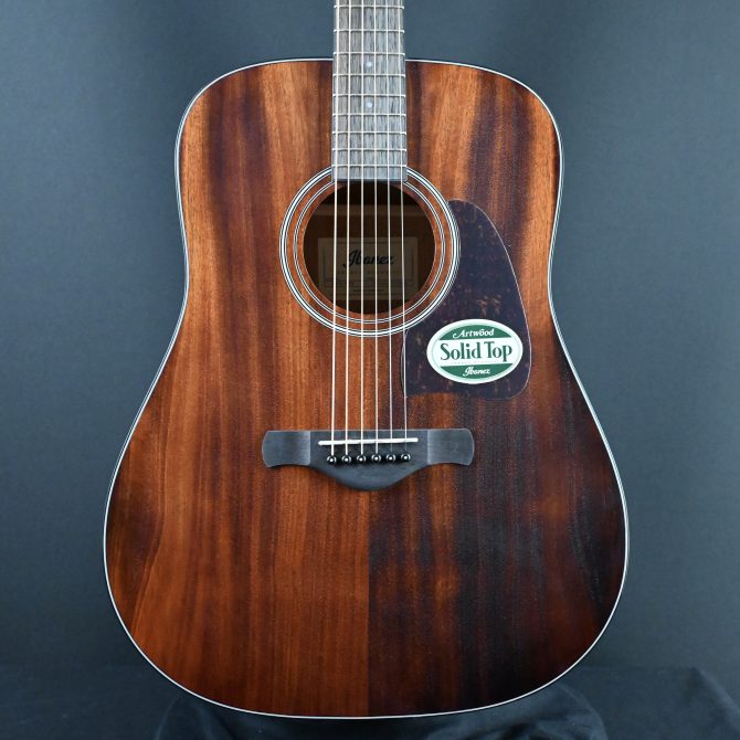Ibanez AW54-OPN Open Pore Natural Acoustic Guitar #306