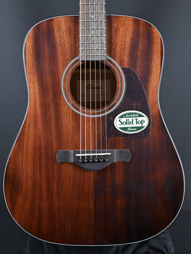 Ibanez AW54-OPN Open Pore Natural Acoustic Guitar #306