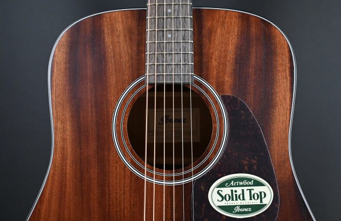 Ibanez AW54-OPN Open Pore Natural Acoustic Guitar #306