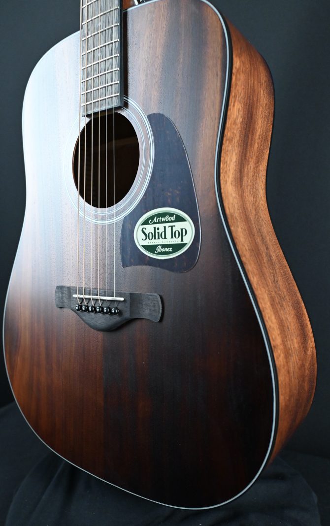 Ibanez AW54-OPN Open Pore Natural Acoustic Guitar #306