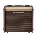Fishman Loudbox Micro Acoustic Instrument Amplifier