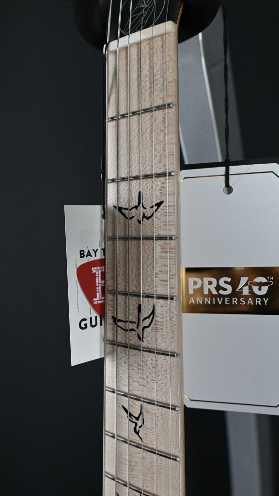 PRS Myles Kennedy Signature Platinum Metallic #003