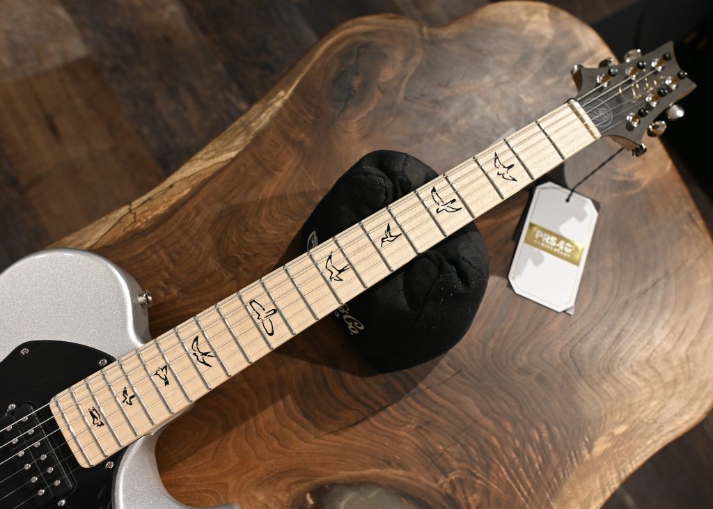 PRS Myles Kennedy Signature Platinum Metallic #003