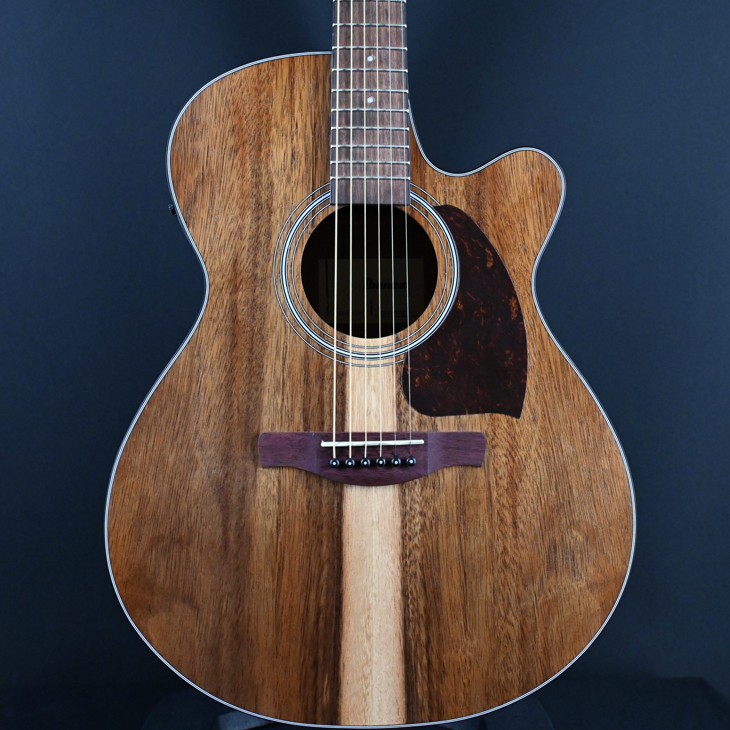 Ibanez PC50WSCE-OPB Open Pore Brown Acoustic Guitar #628 - Bay