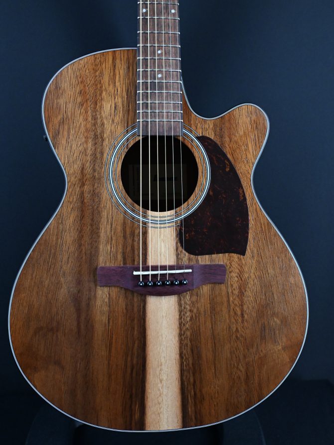 Ibanez PC50WSCE-OPB Open Pore Brown Acoustic Guitar #628