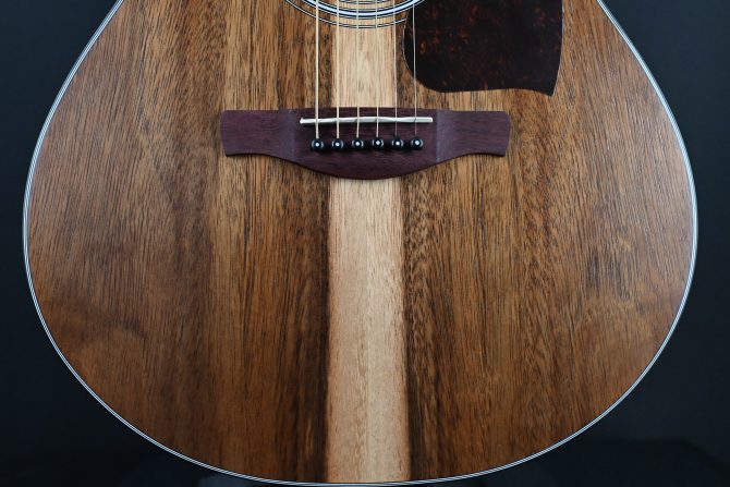 Ibanez PC50WSCE-OPB Open Pore Brown Acoustic Guitar #628