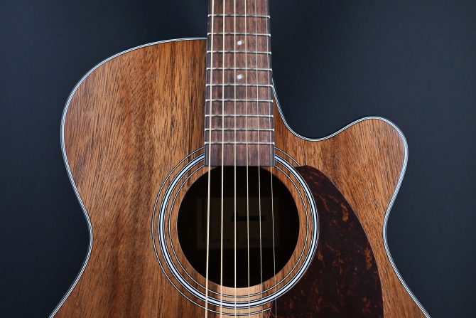 Ibanez PC50WSCE-OPB Open Pore Brown Acoustic Guitar #628