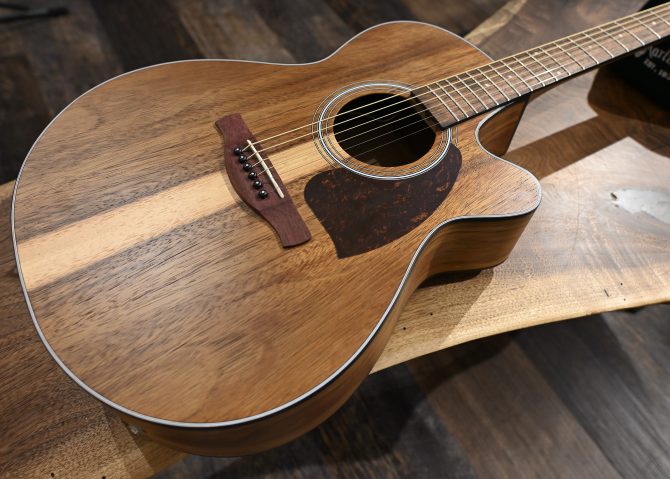 Ibanez PC50WSCE-OPB Open Pore Brown Acoustic Guitar #628