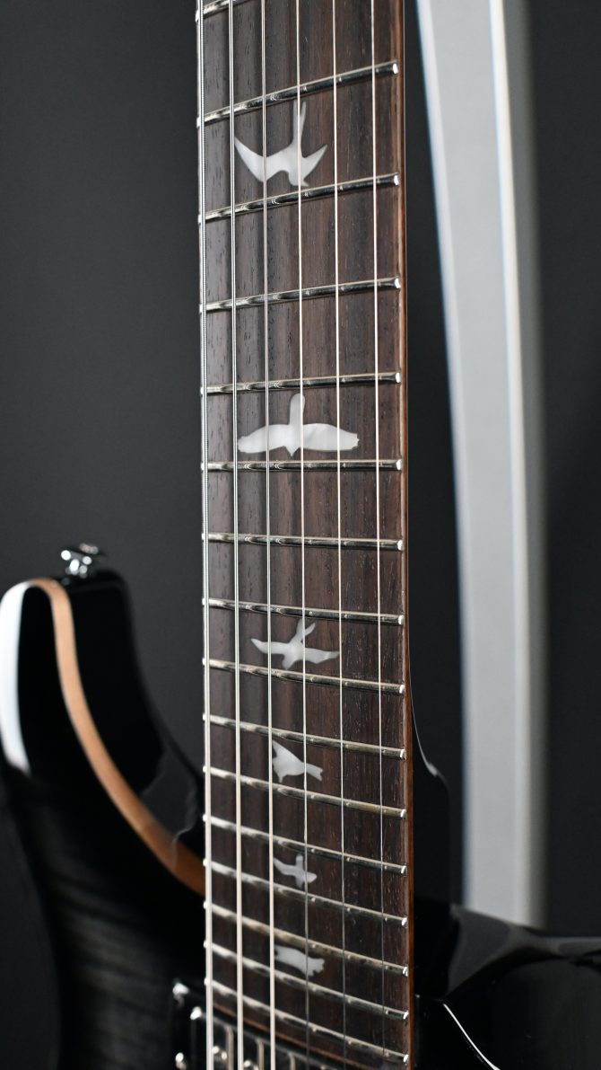 PRS SE Special Semi-Hollow Charcoal Burst #189