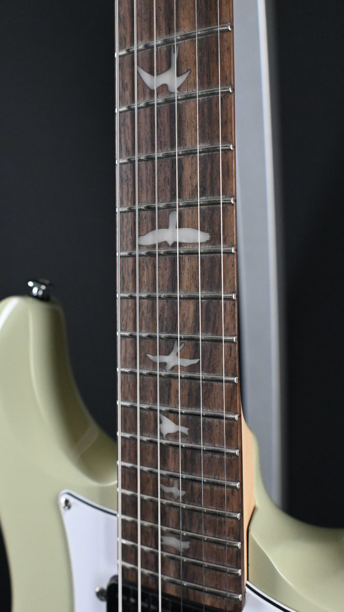 PRS SE Studio Standard Rosewood Sage Green #881