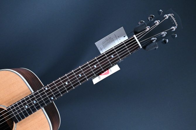 Eastman PCH2-OM Thermo-Cure Natural Acoustic #366