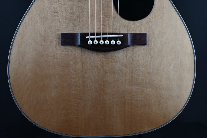 Eastman PCH2-OM Thermo-Cure Natural Acoustic #366