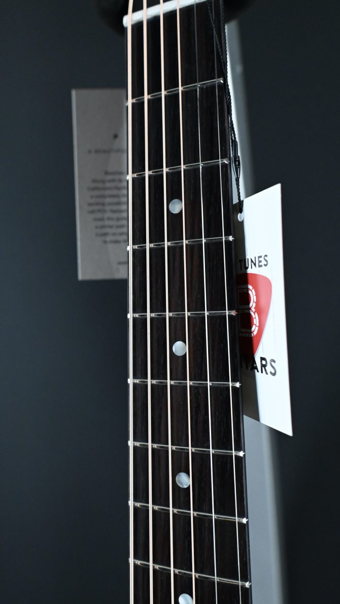 Eastman PCH2-OM Thermo-Cure Natural Acoustic #366