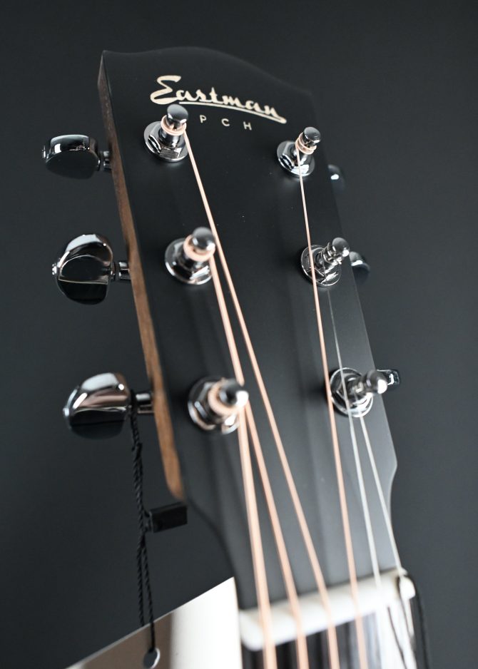 Eastman PCH2-OM Thermo-Cure Natural Acoustic #366