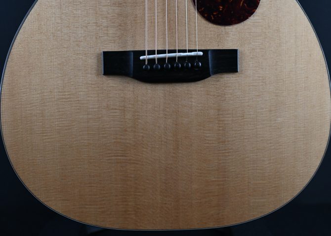 Eastman E1OMCE-Special Thermo-Cure Natural Acoustic #227