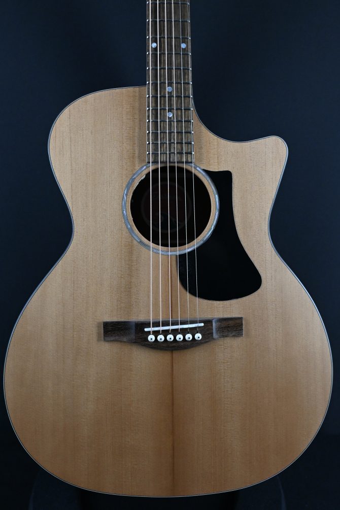 Eastman PCH1-GACE Thermo-Cure Natural Auditorium Acoustic #772